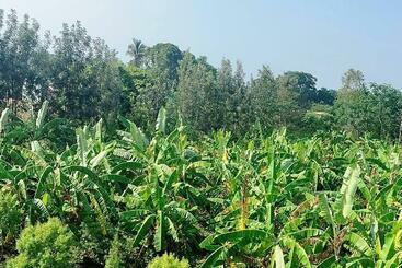 Sns Organic Farm Stay