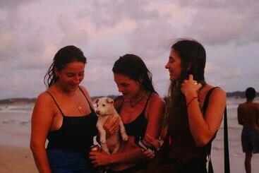 فندق صغير Happy Hammocks, Weligama Beach   Sri Lanka