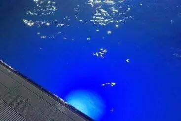 ホテル Plaj Resort Dorra