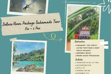 Retkeilymaja Kawah Ijen & Sukamade Trip By Robiu