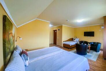 Pensiunea Tirol Baile Felix