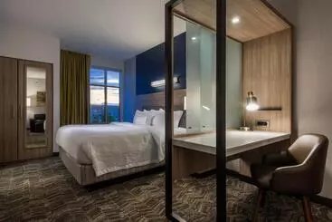 Hotel Springhill Suites By Marriott Gallup