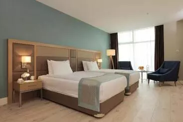 Hotel The Ankara