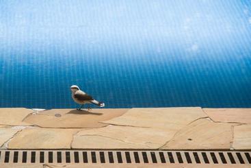 Otel Delta Maresias Studio