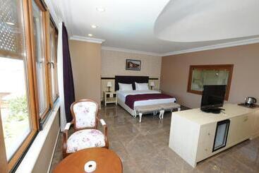 ホテル Phellos Suites