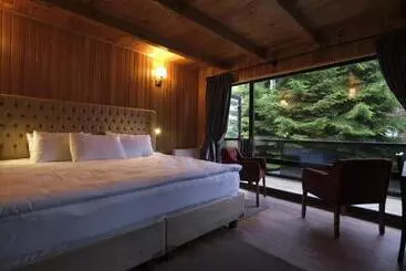 Hotel Ayder Villa De Pelit