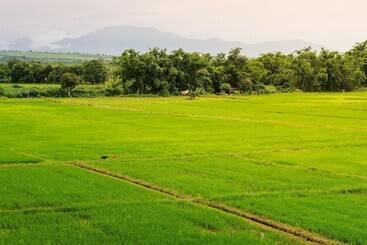 Kyp Khunyuw Place Hotel โรงแรมเควายพี ขุนยูวเพลส ฝาง