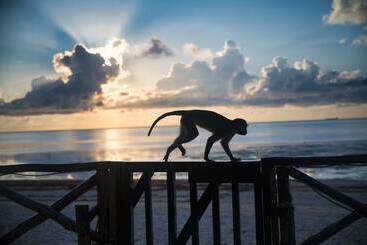 Hotelli Sheratton Beach Villagio