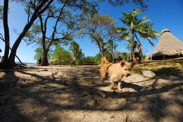 منتجع Playa Negra