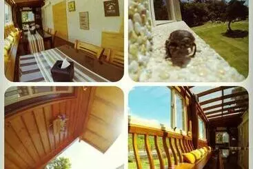 Cai Feng B&b