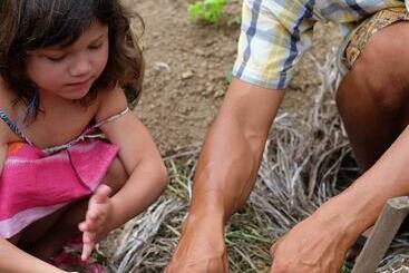 בית מלון כפרי Visesa Ubud Resort