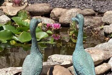 Bed and Breakfast La Maison D Ivona