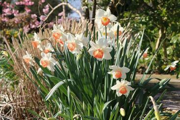 مبيت وإفطار Le Bourgis