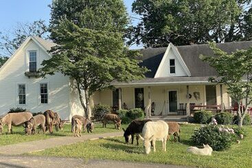 Pensionat 3547 Pleasant Run Rd