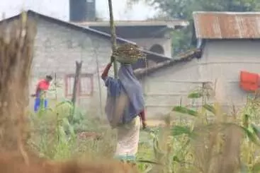 پانسیون Barauli Community Homestay