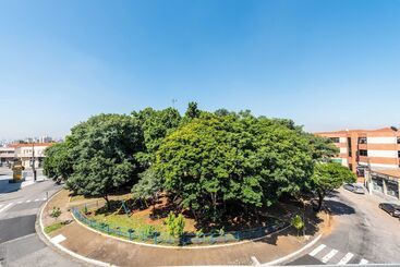 Отель Galeria Apartamentos