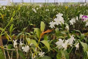 Nh16 Farm Stay And Restaurant
