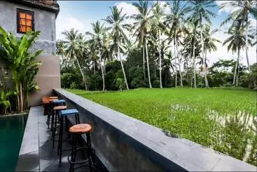 Pensión Harmony House:work Life Balance Near Ubud Center 3