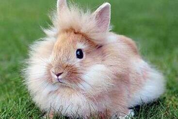 צימר Nyilas Fogadó & Spa