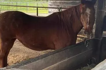 ペンション Farm House   L&s Farms