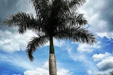 פנסיון Dee Park Entertainment Centre