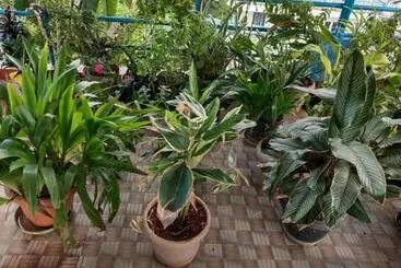 Aamiaismajoitus (B&B) Sea Sun Paradise