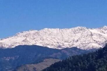 Bed and Breakfast Khwaab The Cottages And Tree House