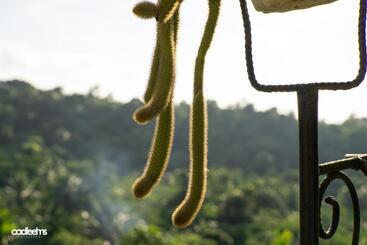 The Family Resthouse And Resort