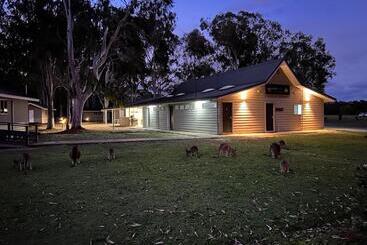旅馆 Kangarooms Noosa Everglades Yha