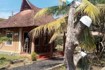 Resort Dazzle Dew Memories Kerala