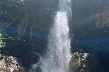 Cămin Spanglish Colombia