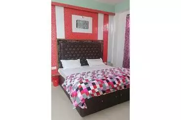 ホテル Ds Cottage, Shimla