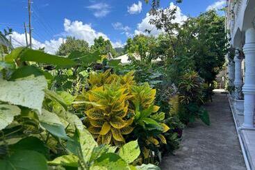 پانسیون Tamernique Apartments