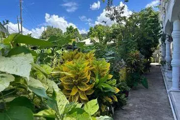 پانسیون Tamernique Apartments