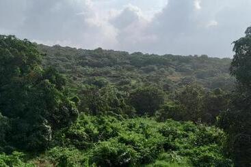 Lomakeskus The Siddhant Lodge