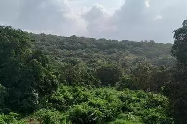 リゾートホテル The Siddhant Lodge