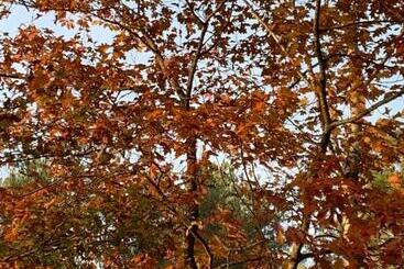 Bed and Breakfast Une Chambre Au Pré Des Fées