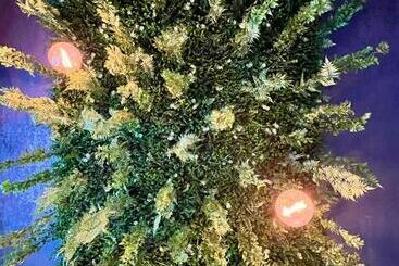 هتل آپارتمان Cozy Hideout Condo