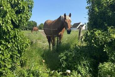 بنسيون Maison Prieuré