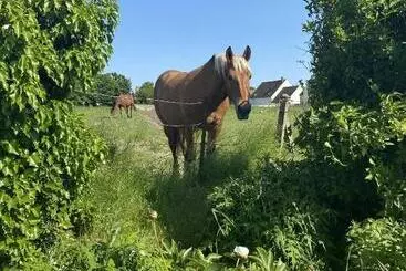 ペンション Maison Prieuré