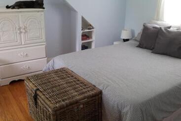 住宿加早餐 European Guesthouse