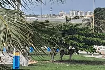 ユースホステル Paraíso Atalaia Beiramar