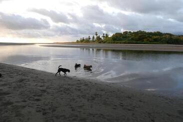 호스텔 Alouatta Playa Coyote