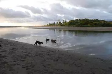 هاستل Alouatta Playa Coyote