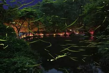 旅館 Izu Katase Onsen Ayumitei Fukumatsuso
