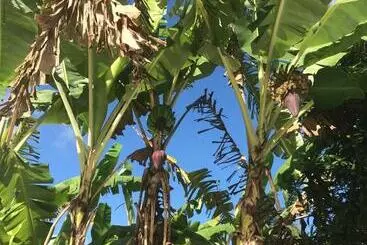 ペンション Chalés Musa De Maresias