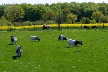 Ferienwohnungen Auf Dem Ferienhof Sell
