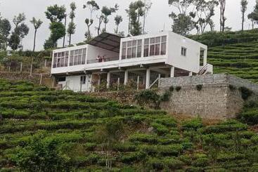 Bed and Breakfast Dreamvalley Cottages