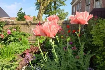 Aamiaismajoitus (B&B) Huize Bloem