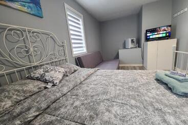 Bed and Breakfast Downtown Ottawa Spacious Room Accommodation